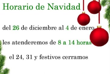 Horario de Navidad de la Biblioteca Municipal «Miguel Delibes»
