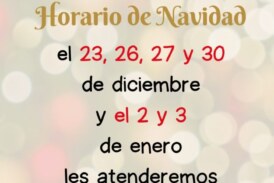 Horario de Navidad de la Biblioteca Miguel Delibes